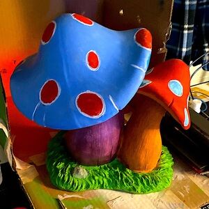 Foot talk 1/2 foot wide